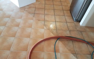 Remove Carpet Stains In Commercial
