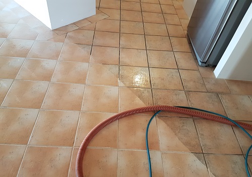 Remove Carpet Stains In Commercial