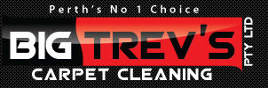 BIG TREV’S CARPET CLEANING