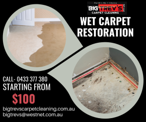 Big Trevs Wet Carpet Restoration Perth